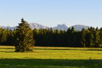 Panoramablick -Sommer-Hauptbild-Hintergrund